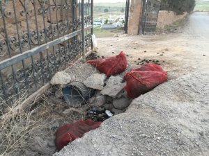 Ayvalık’ta ’Karadiken’ Kabuklarına İ̇lçe Hıfzıssıhha Kurulu Freni