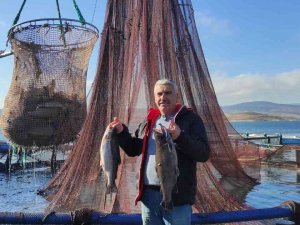 Türk Somonu Norveç Somonuna Rakip