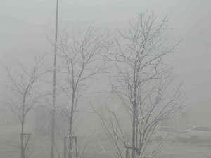 Yoğun Sis Aksaray’ı Etkisi Altına Aldı