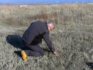 Muş’ta Kuraklık Endişesi