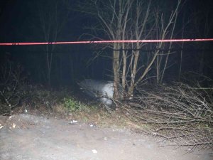 Otoyolda Korkutan Kaza: Lpg Yüklü Tanker Devrildi