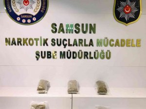 Samsun’da 2 Kilo 589 Gram Uyuşturucu Ele Geçirildi: 1 Gözaltı