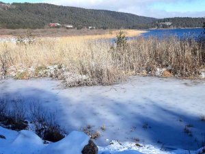Abant Gölü’nün Kıyıları Buz Tuttu