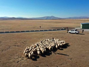 Van Büyükşehir Belediyesinden Kırsal Kalkınma Atağı