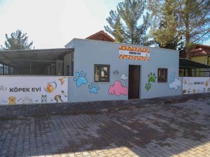 Türkiye’nin En Büyük Hayvan Rehabilitasyon Merkezi Gaziantep’e Kuruldu