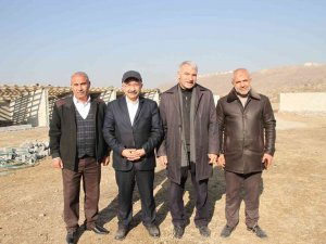 Bulanık’ta Sokak Hayvanları İçin Sıcak Yuva