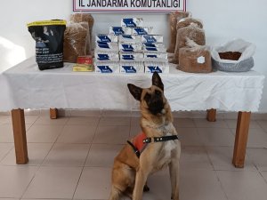Tokat’ta Tütün Kaçakçılığı Operasyonunda 2 Şüpheli Gözaltına Alındı