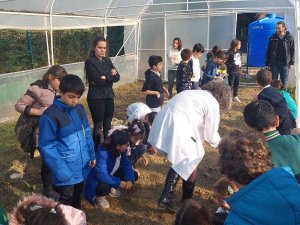 Okul Bahçesi Sera Alanı Oldu: Teneffüste Tarım Öğrenecekler