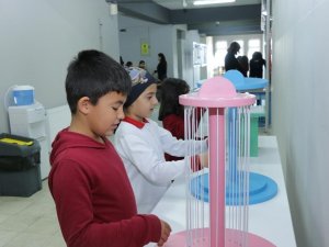 Muğla Bi̇lsem Matematik Şenliğine Ev Sahipliği Yaptı