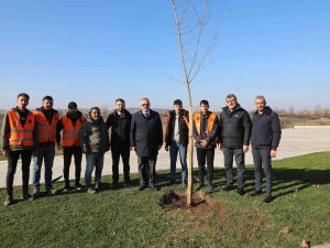 Bafra’da Kökler Toprakla Buluşuyor