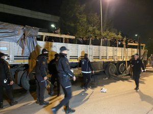 Dorseyi Açan Polis Şoke Oldu, 150 Düzensiz Göçmen Çıktı