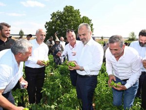 Bursa Büyükşehir’in Çiftçiye Desteği Sürüyor