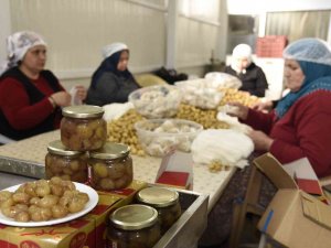 Nazilli’nin Kestane Şekeri, 10 Bin Kilometre Ötede Damakları Lezzetlendiriyor