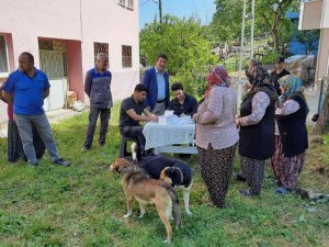 Zonguldak’ta 12 Bin 655 Evcil Hayvana Çip Takıldı