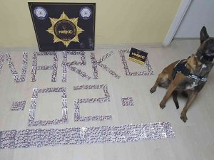 Narkotik Ekipleri Uyuşturucuya Geçit Vermiyor
