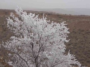 Kırıkkale’de Mevsimin İlk Karı Yağdı