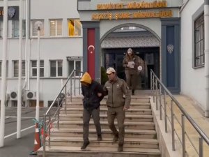 Bursa’da Köpeğe Eziyet Eden O Sürücü Yakalandı