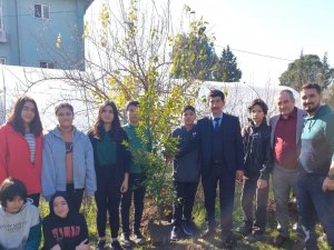Köyceğiz’de Okul Bahçesini Meyve Ağaçları İle Donattılar