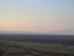 Ti̇gem, Marmara Gölü’nde Buğday Ve Ayçiçeği Yetiştirecek