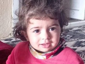 Mardin’de 15 Aylık Hicran Bebeği Ezen Tır Sürücüsü Tutuklandı
