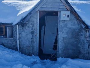 Kış Uykusuna Yatmayan Ayı Yayla Evlerine Dadandı