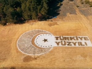 Türkiye Yüzyılı Logosu 30 Bin 600 Fidanla Yazıldı