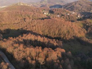 Zonguldak Ormanlarında Kış Güzelliği