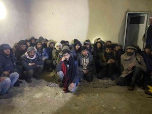 Şanlıurfa’da 101 Düzensiz Göçmen Yakalandı