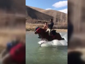 Ayağına Su Yılanı Değen Cirit Atı Yıllarca Sırtında Taşıdığı Sahibini Çoruh’un Serin Sularına Attı