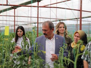 Çiftçiler İçin Yeni Destek Ve İmkanlar Hayata Geçirildi