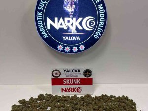 Yalova’daki Uyuşturucu Operasyonunda 1 Tutuklama