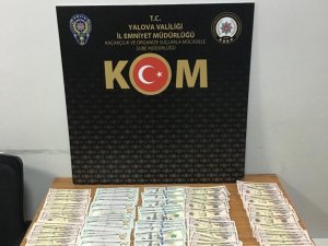 Yalova’da Dövizcide Sahte Dolar Bozdurmak İsteyen Şüpheli Tutuklandı
