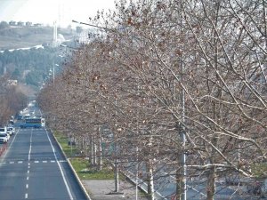 Tekirdağ’a Kıştan Önce Bahar Havası Geldi