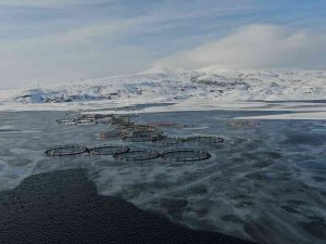 Türkiye’nin En Soğuk Yerleşim Yeri O İlçe Oldu