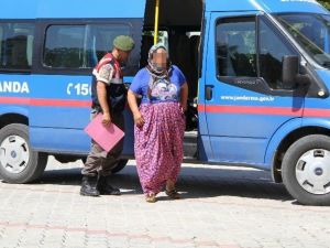 Düzce’de Aranan Bayan Samsun’da Yakalanarak Tutuklandı