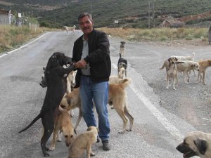 Emekli Olunca Kendisini Sokak Köpeklerine Adadı