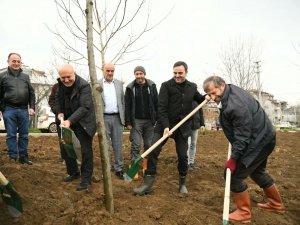 Başiskele’de Fidanlar Toprakla Buluştu