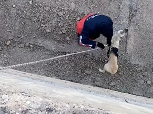 Kanala Düşen Köpeği İtfaiye Kurtardı