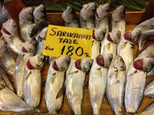 Havaların Geç Soğuması Balık Tezgahlarına Yansıdı