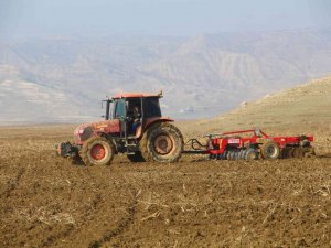Çiftçiler Endişeli: "Tek Umudumuz Yağış, Yoksa Sulama Bile Fayda Etmez"