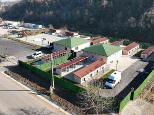 Sokak Hayvanları Rehabilitasyon Merkezi’nde Sona Doğru