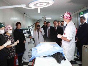 Dokuz Eylül’den Sokak Hayvanlarına Şefkat Eli