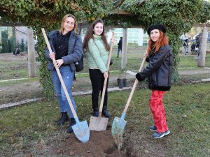 Paü’ye Cumhuriyetin 100. Yılında 100 Fidan Dikildi