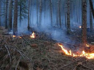 Kaz Dağları’nda Ormanlık Alanda Örtü Yangını Devam Ediyor