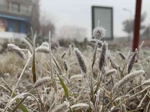 Diyarbakır’da Uçak Seferlerine ’Sis’ Engeli
