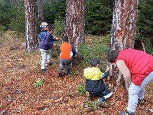 Orman İçerisinde Ders İşliyorlar
