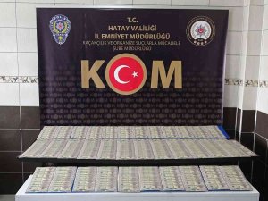 Hatay’da 35 Bin 550 Sahte Dolar Ele Geçirildi