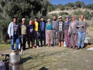 Başkan Özcan Zeytin Hasadına Katıldı, Üreticilerle Bir Araya Geldi