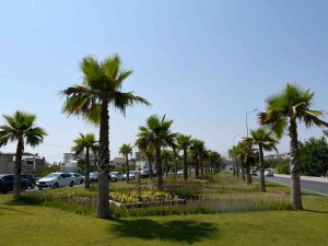 Kuşadası Belediyesi Bir Yılda Yeşile 18 Milyon 415 Bin Tl’lik Yatırım Yaptı