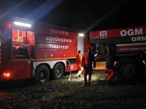 Ormanlık Alanda Çıkan Yangın Söndürüldü
